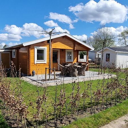 Nieuw - Luxe Blokhut Chalet In Bosrijke Omgeving Anloo Luaran gambar