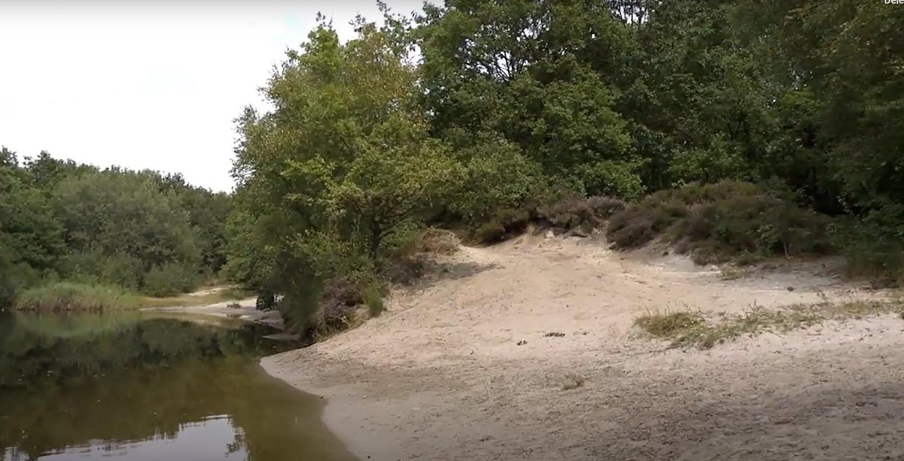 Nieuw - Luxe Blokhut Chalet In Bosrijke Omgeving Anloo Luaran gambar