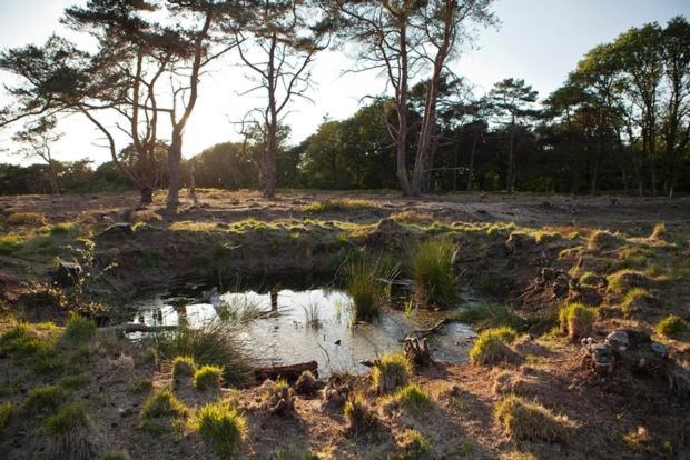 Nieuw - Luxe Blokhut Chalet In Bosrijke Omgeving Anloo Luaran gambar